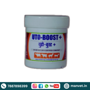 UTO-BOOST+tab