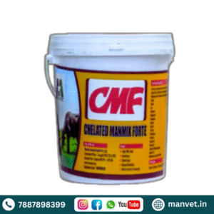 CMF