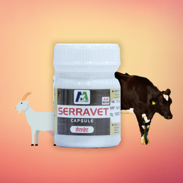 Seeravet Cap