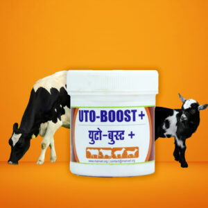 UTO-BOOST+tab