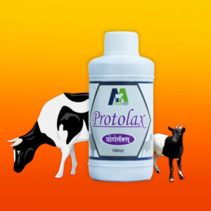 Protolax liq 450ml,100ml