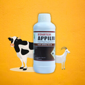 Starter Appiliv GS 1lit,500ml