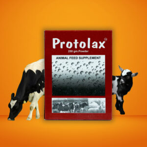 Protolax Powder 250gm