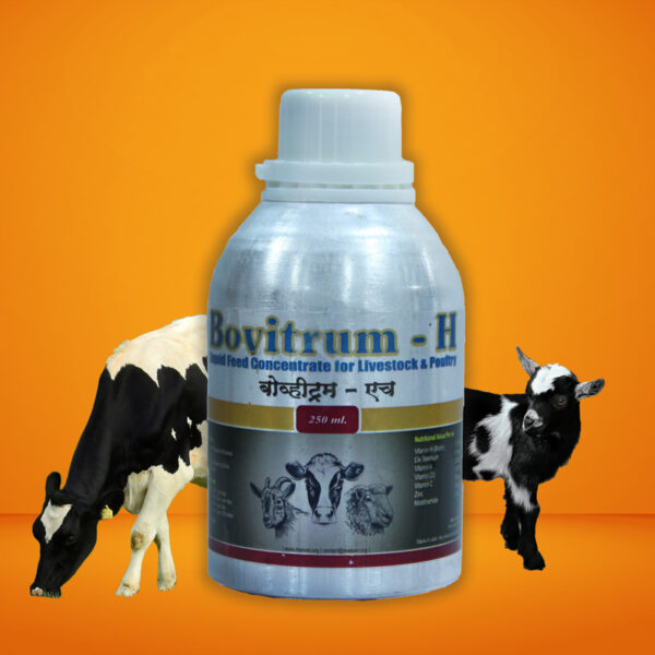 Bovitrum H 100ml,250ml,500ml,1lit