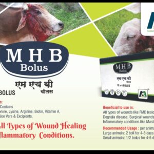 M H B BOLUS