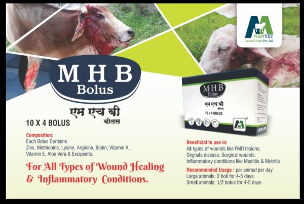M H B BOLUS