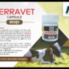 Seeravet Cap - Image 2