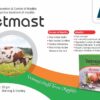 Vetmast 100gm - Image 2