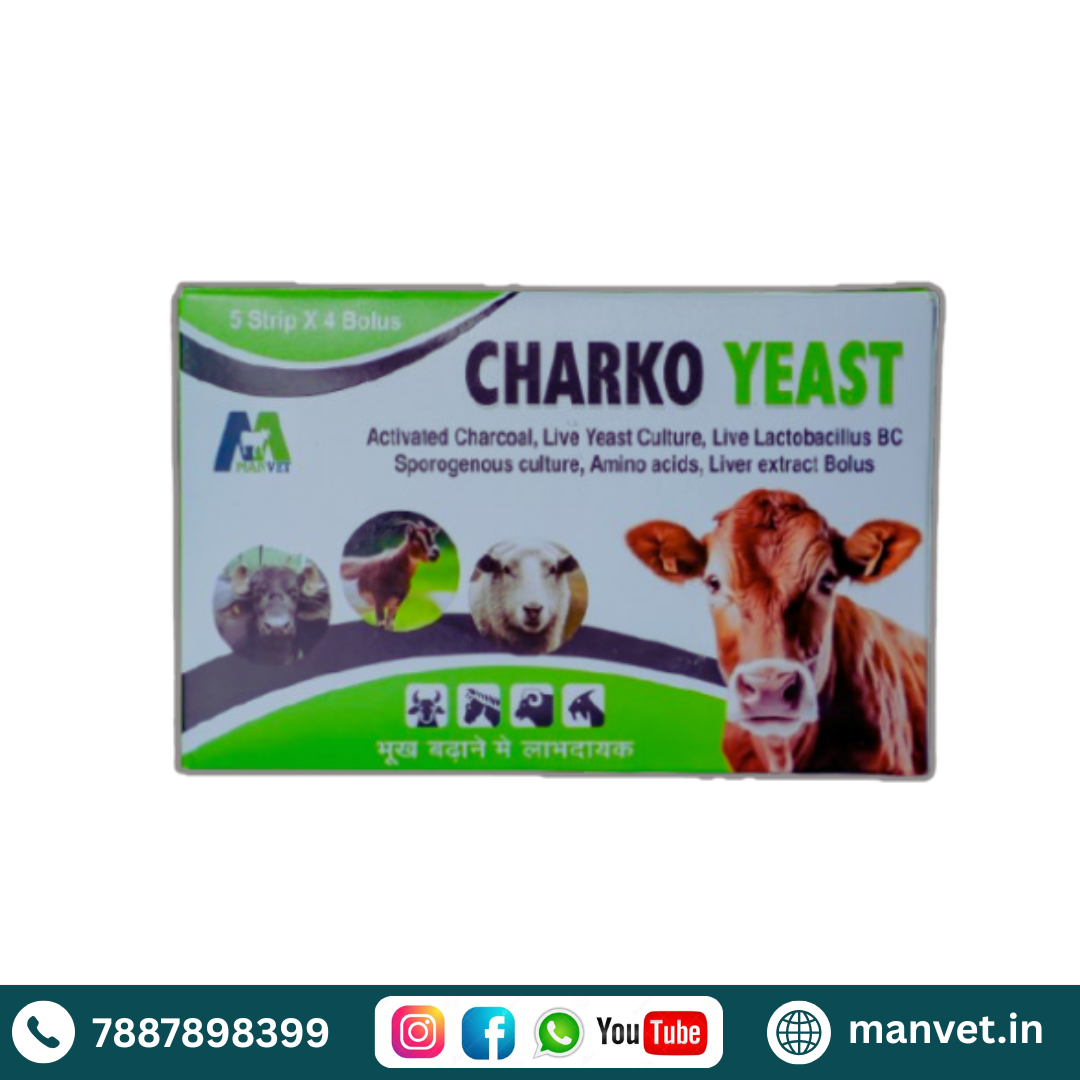 Charko Yeast
