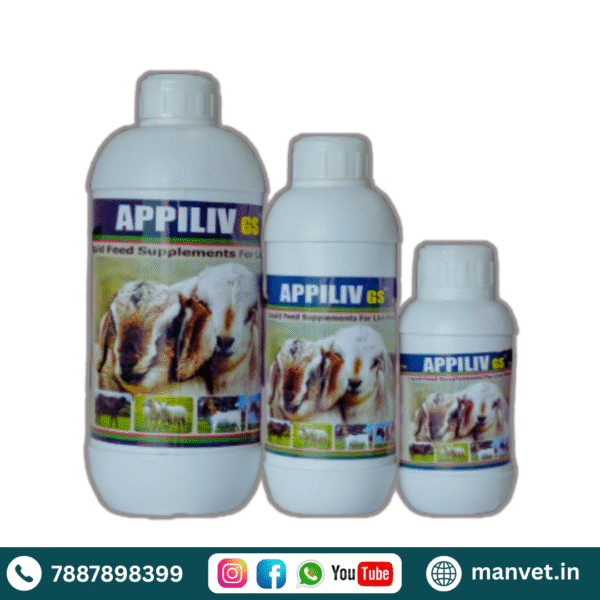 Appiliv GS