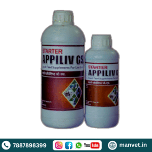 Starter Appiliv GS
