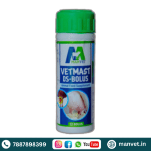 Vetmast DS Bolus