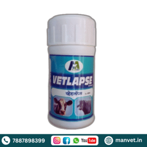 Vetlaps Bolus