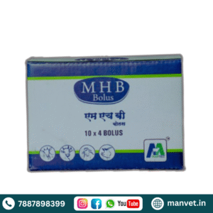 M H B BOLUS