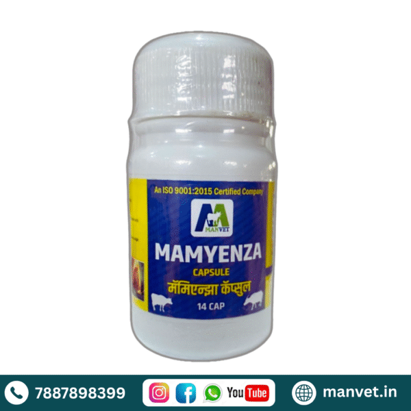 Mamyenza