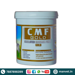 C.M.F GOLD