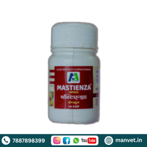 Mastienza Capsule