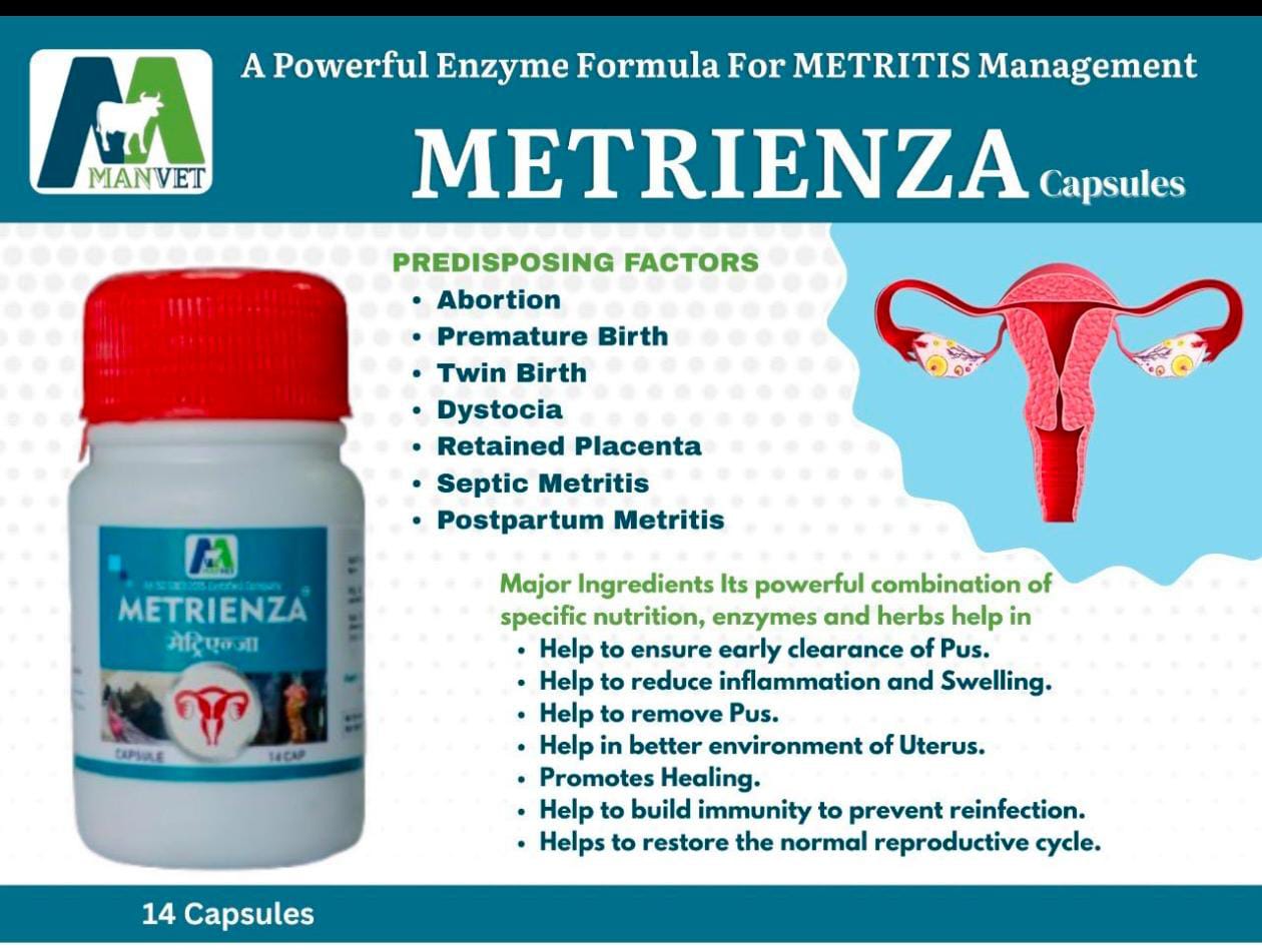 Metrienza Capsule - Image 2